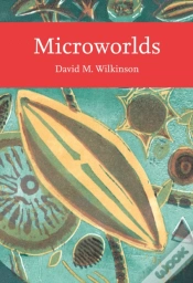 Capa do artigo Microworlds