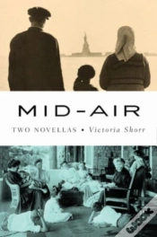 Capa do artigo Mid-Air