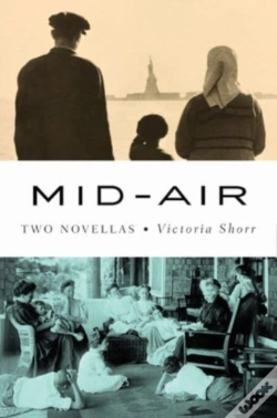 Capa do artigo Mid-Air