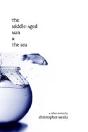 Middle-Aged Man And The Sea - Preview