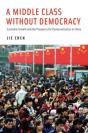 Middle Class Without Democracy - Preview