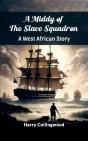 Middy Of The Slave Squadron A West African Story - Preview