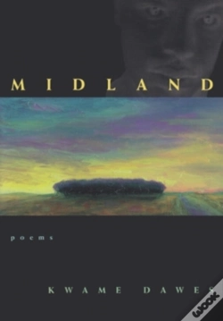 Capa do artigo Midland