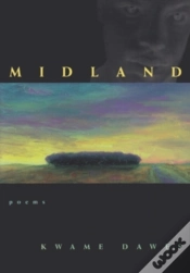 Capa do artigo Midland