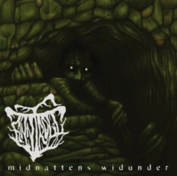 Capa do artigo Midnattens Widunder - CD