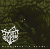 Capa do artigo Midnattens Widunder - Vinil