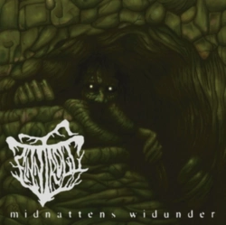 Capa do artigo Midnattens Widunder - Vinil