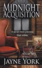 Midnight Acquisition - Preview