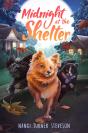 Midnight At The Shelter - Preview