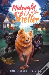 Capa do artigo Midnight At The Shelter