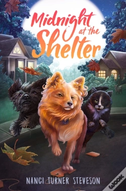 Capa do artigo Midnight At The Shelter