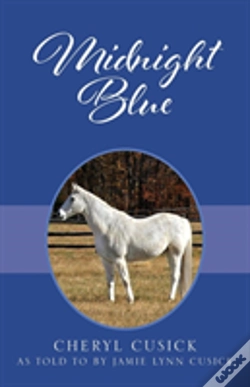 Capa do artigo Midnight Blue