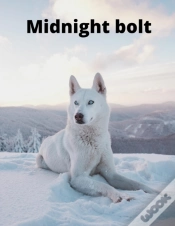 Capa do artigo Midnight Bolt