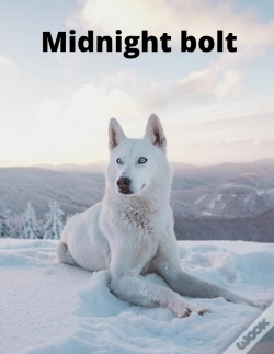 Capa do artigo Midnight Bolt