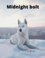 Midnight Bolt - Preview