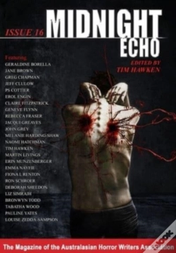 Capa do artigo Midnight Echo 16