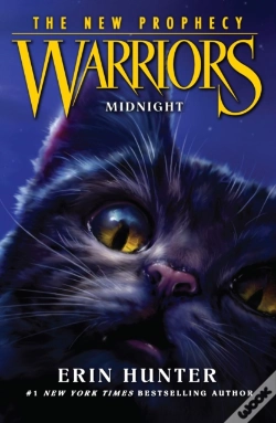 Capa do artigo Midnight
