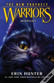 Capa do artigo Midnight