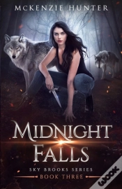Capa do artigo Midnight Falls