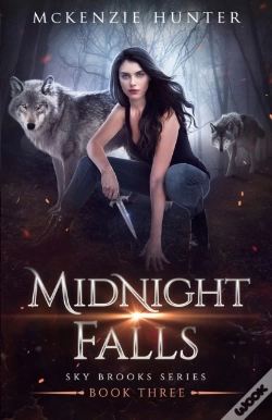 Capa do artigo Midnight Falls