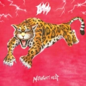 Capa do artigo Midnight Heat - Vinil