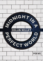 Midnight In A Perfect World - Preview