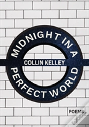 Capa do artigo Midnight In A Perfect World