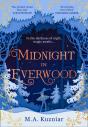 Midnight In Everwood - Preview