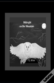 Capa do artigo Midnight On Owl Mountain