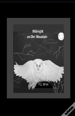 Capa do artigo Midnight On Owl Mountain