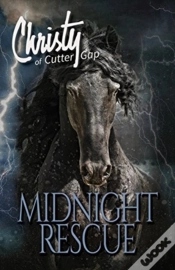 Capa do artigo Midnight Rescue
