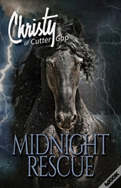 Capa do artigo Midnight Rescue
