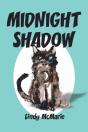 Midnight Shadow - Preview