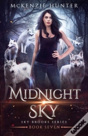 Capa do artigo Midnight Sky