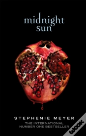 Capa do artigo Midnight Sun