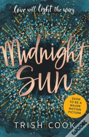 Capa do artigo Midnight Sun