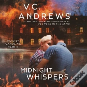 Capa do artigo Midnight Whispers