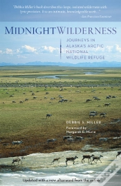 Capa do artigo Midnight Wilderness