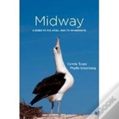Midway