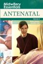 Midwifery Essentials: Antenatal E-Book - Preview