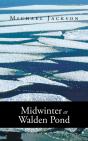 Midwinter At Walden Pond - Preview