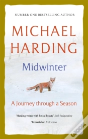 Capa do artigo Midwinter