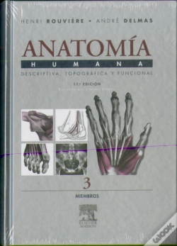 Capa do artigo Miembros