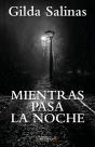 Mienras Pasa La Noche - Preview
