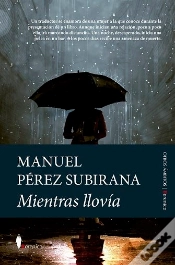 Capa do artigo Mientras Llovia