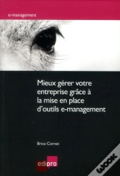 Capa do artigo Mieux Gérer Votre Entreprise Grâce À La Mise En Place D