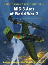 Mig-3 Aces Of World War 2