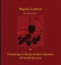 Migdal Zophim - Preview