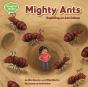 Mighty Ants - Preview