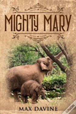 Capa do artigo Mighty Mary